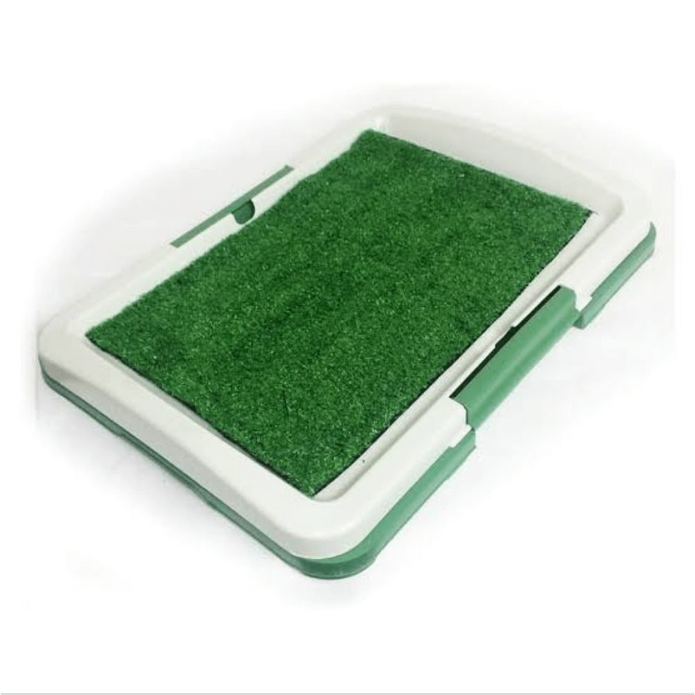 image-7047a17fc59c43ffb39989941c6ff53e image-7047a17fc59c43ffb39989941c6ff53e