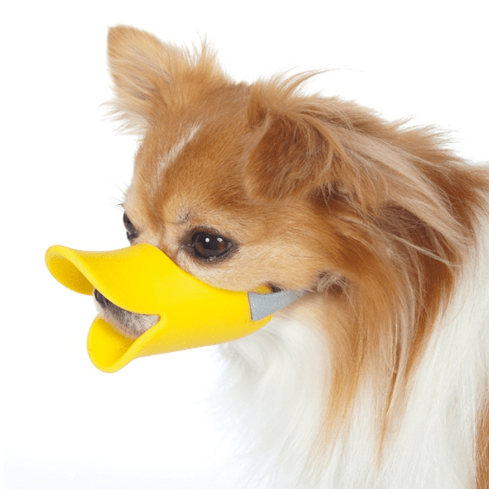 image-75618198d957411c947502382cbc174a image-75618198d957411c947502382cbc174a