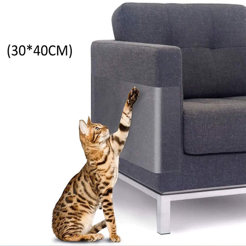 image-e21a883c3d254b9e81f59861c27ded50 image-e21a883c3d254b9e81f59861c27ded50