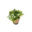 Planta Decorativa Artificial Flor Blanca 18cm
