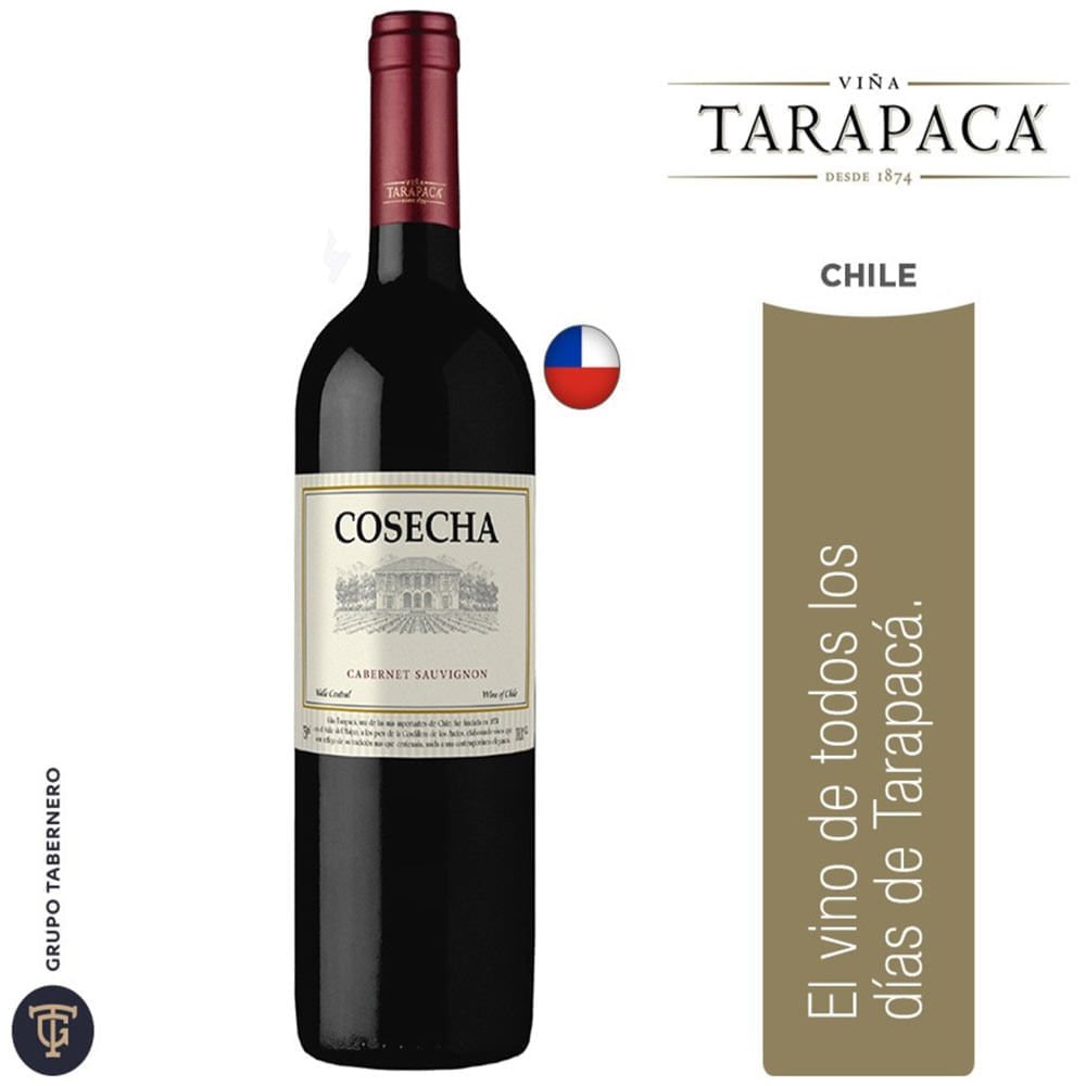 Vino Tinto TARAPACA Cabernet Sauvignon Botella 750ml