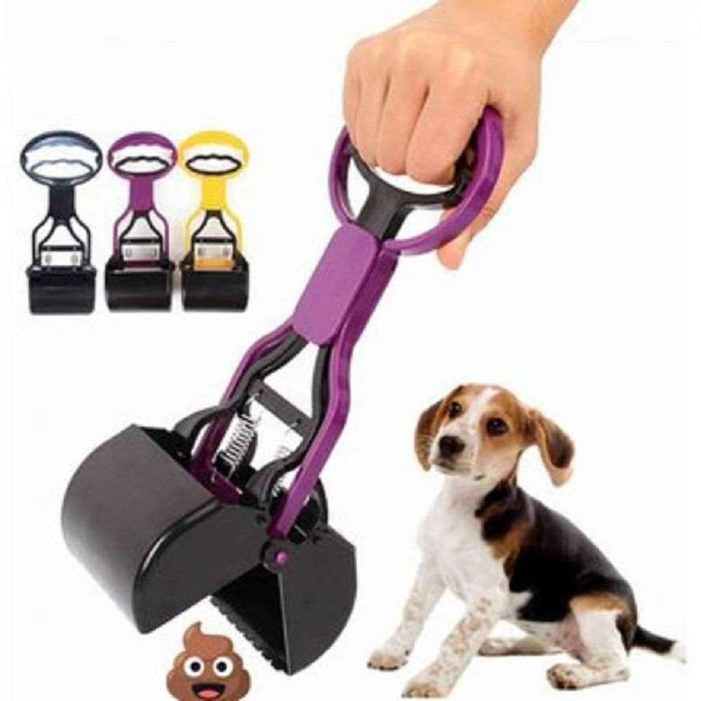 image-6be24b2f5e6644019371bd32aa0834ef image-6be24b2f5e6644019371bd32aa0834ef