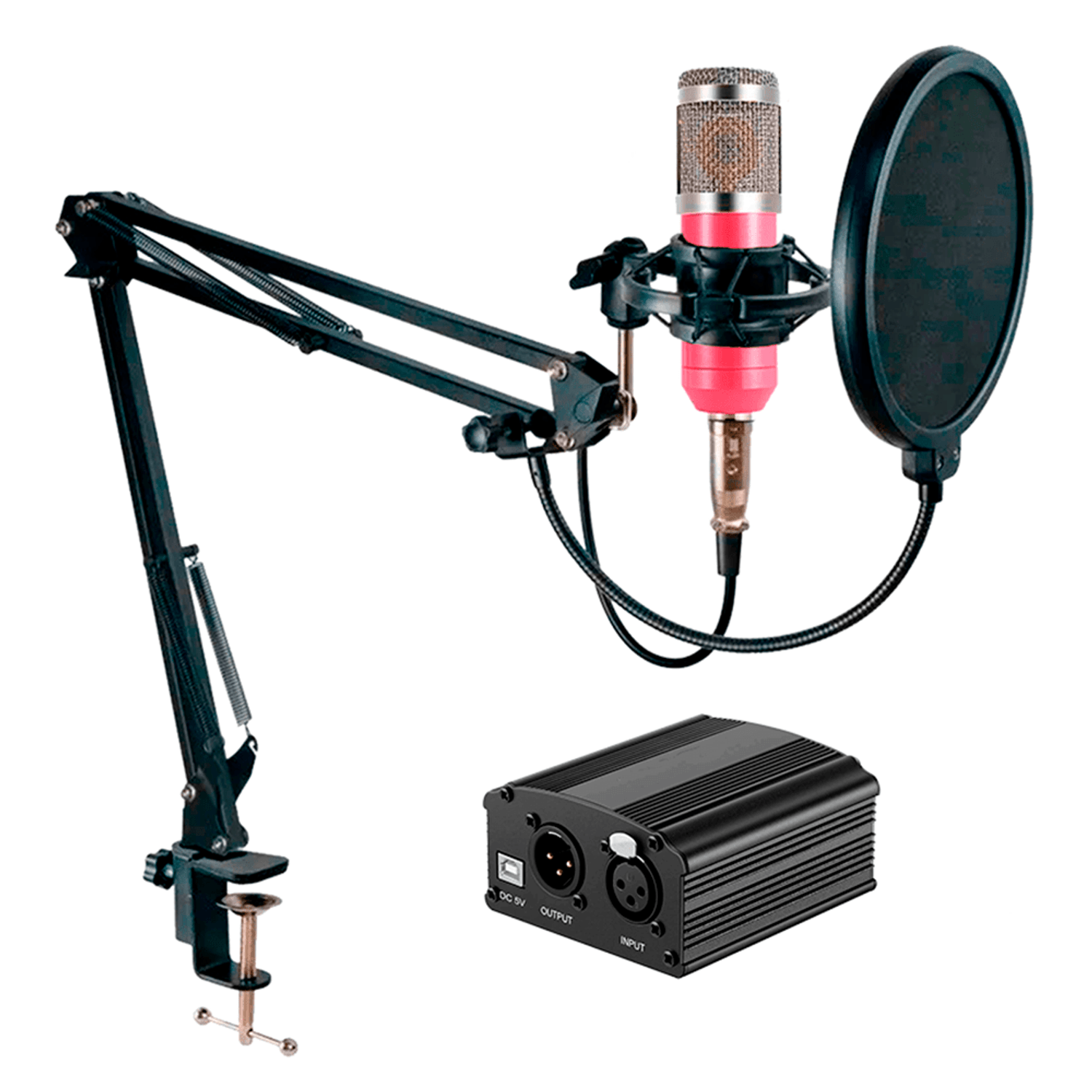 Kit Micrófono BM 800 profesional y Phantom power ROSA Oechsle