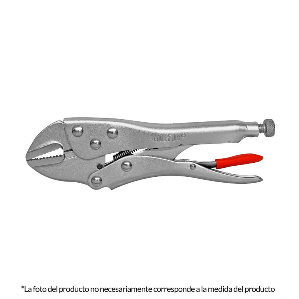 image-c36ac84030fd4d9a85709406e46074f1 image-c36ac84030fd4d9a85709406e46074f1