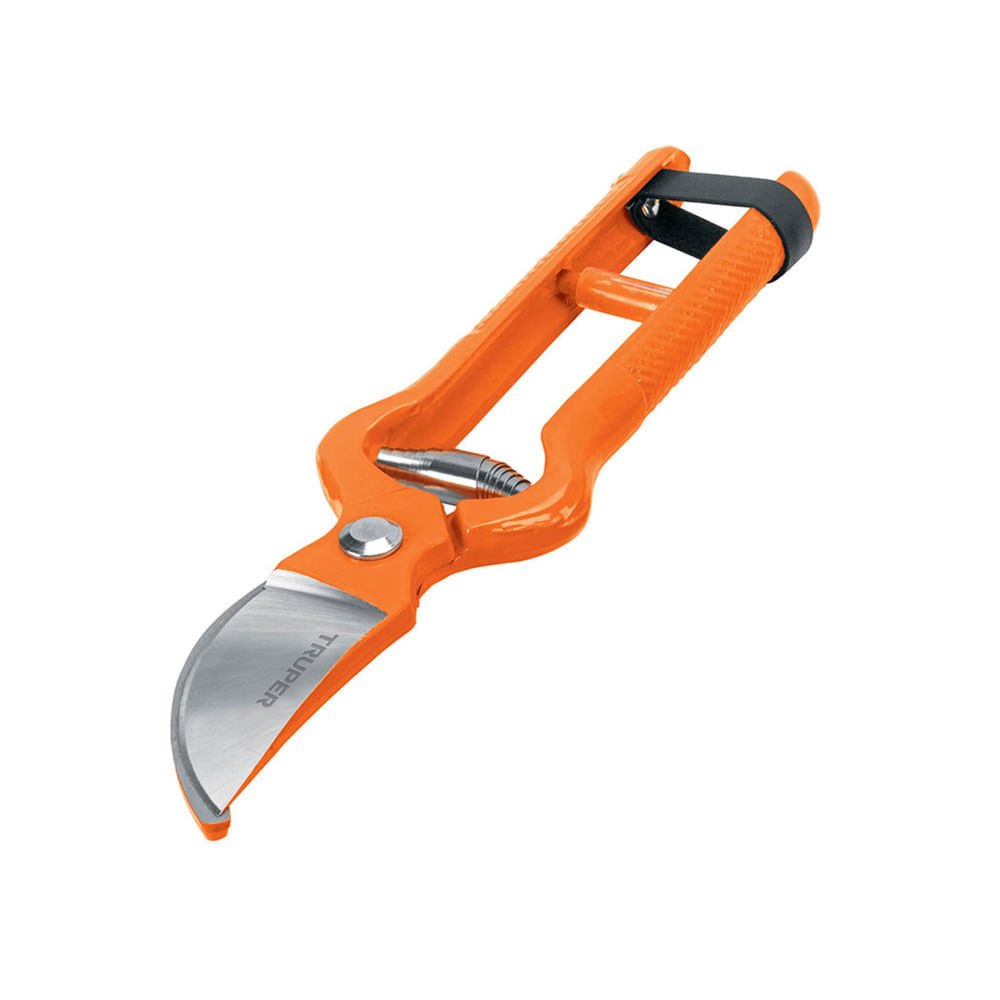 image-05fea6c2ca9f406bafc74698d4999d64 image-05fea6c2ca9f406bafc74698d4999d64