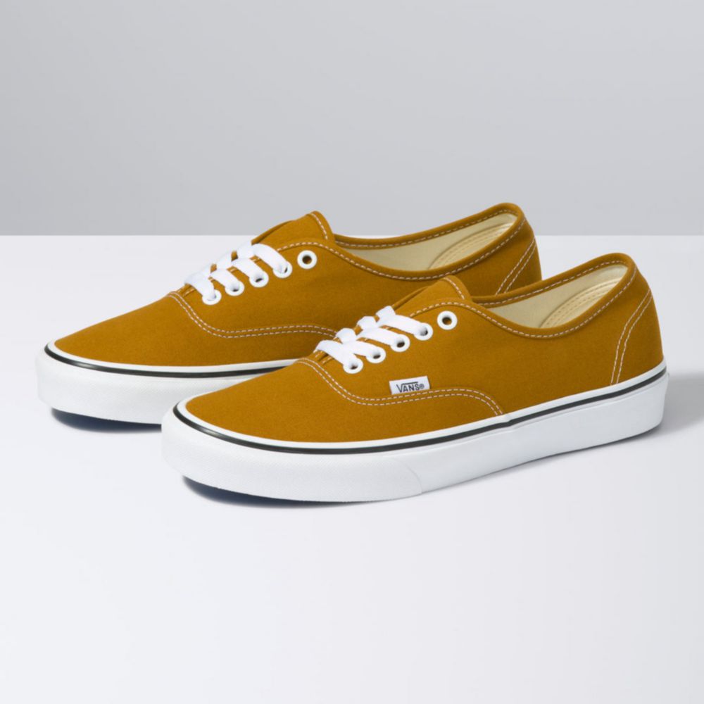 Zapatillas Vans Authentic Negro Marron