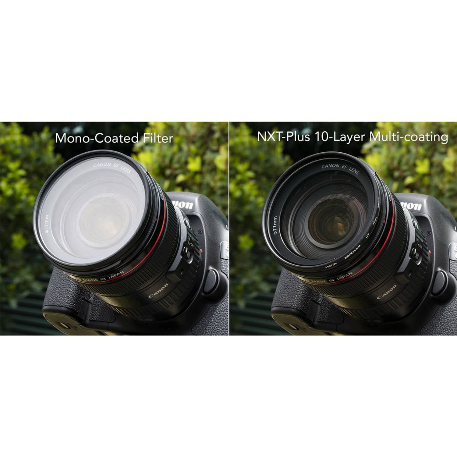 NIKKOR Z 50mm f/1.2 S | Fast Interchangeable Lens - Nikon
