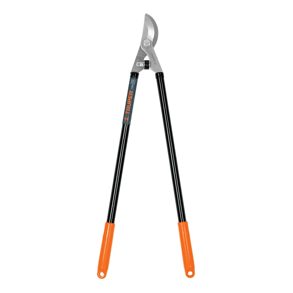 image-7ae088e1c0774c4bb232f51684fc00d0 image-7ae088e1c0774c4bb232f51684fc00d0