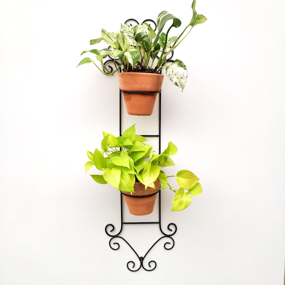 imageUrl_2 imageUrl_2