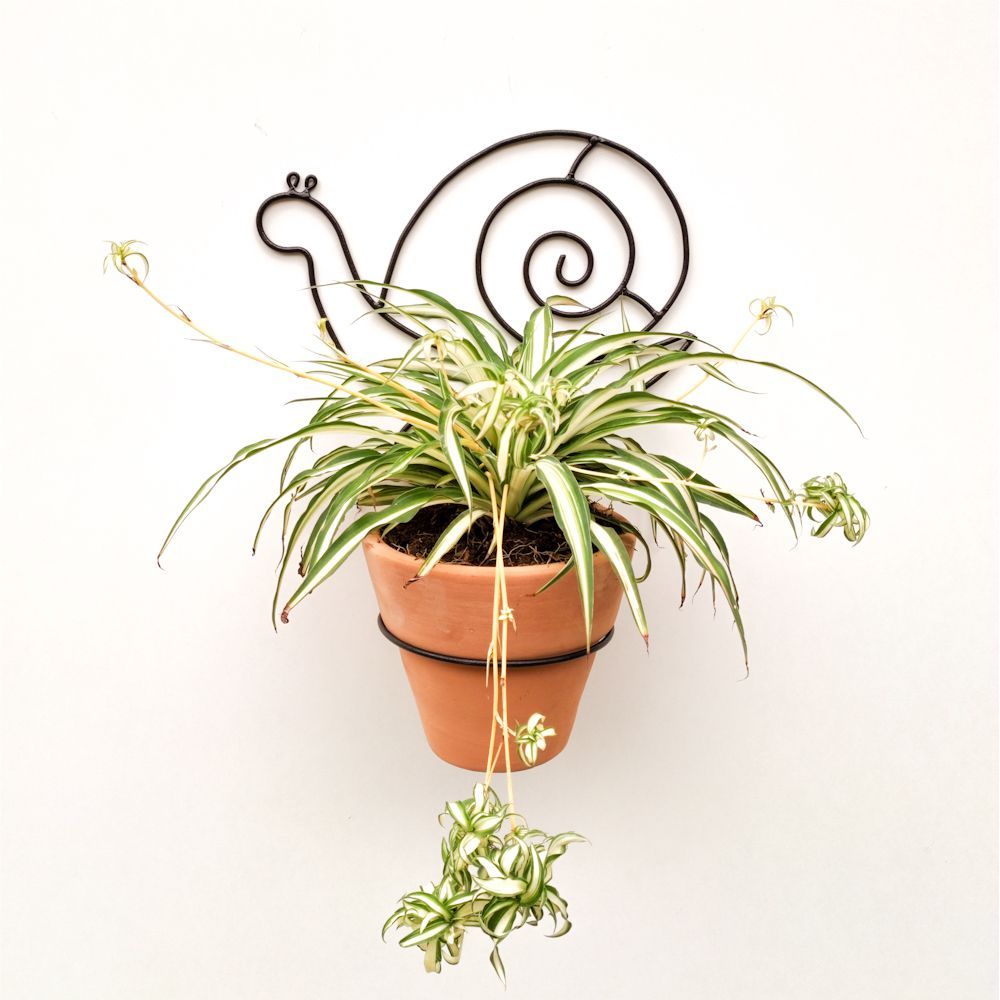 imageUrl_2 imageUrl_2