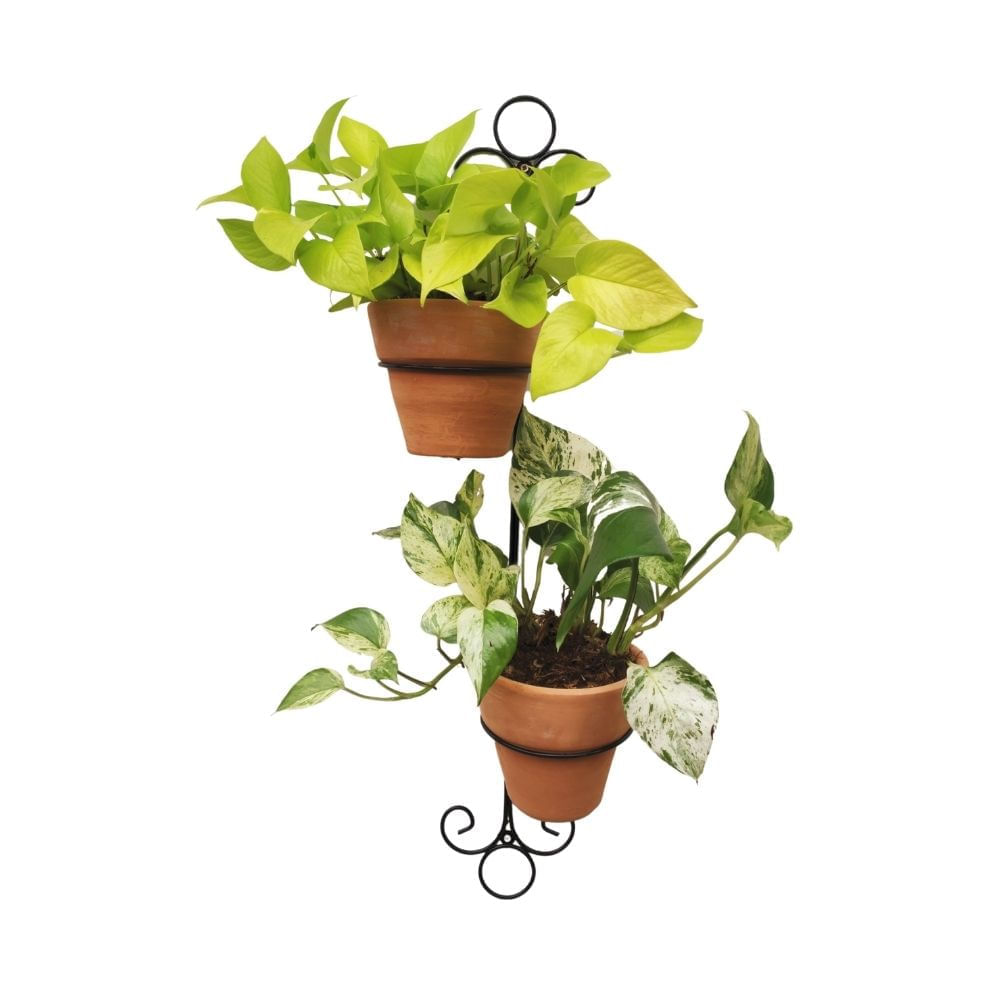 Porta Macetas Vertical FerroJardín con 2 Macetas