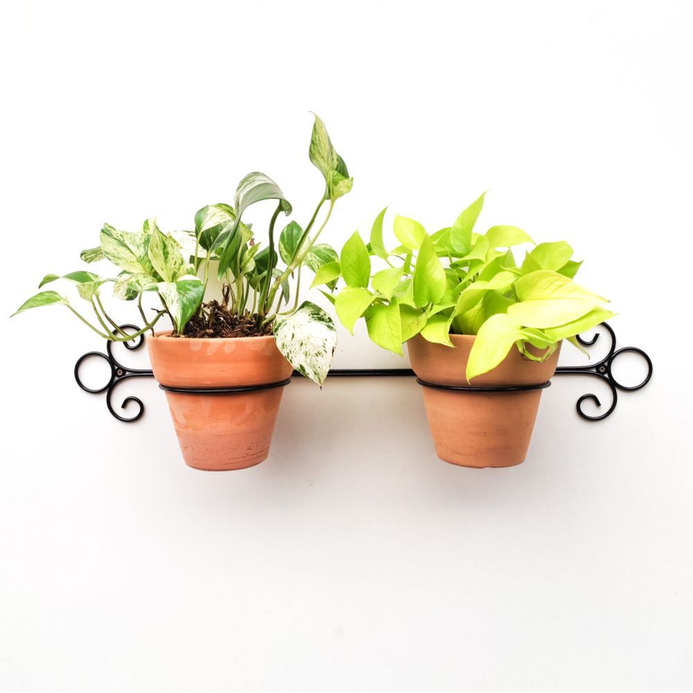 imageUrl_2 imageUrl_2