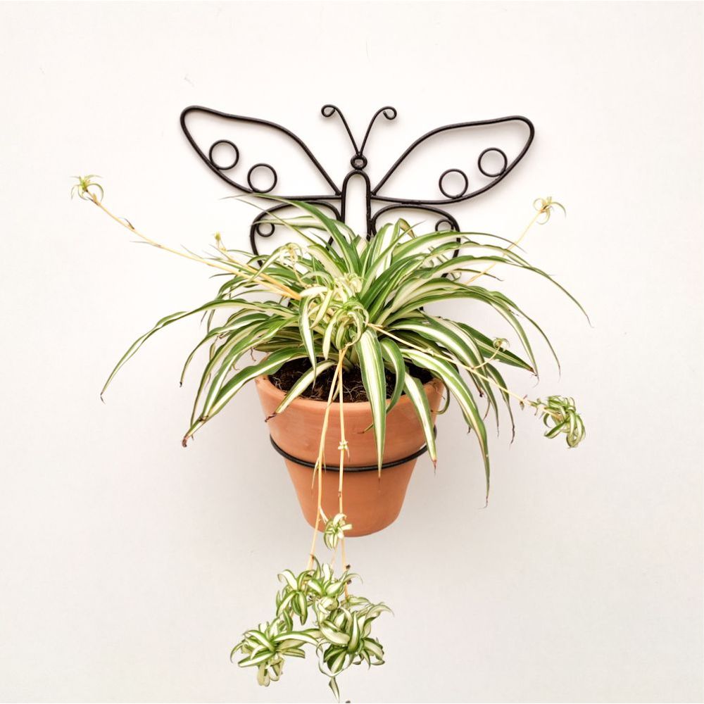 imageUrl_2 imageUrl_2