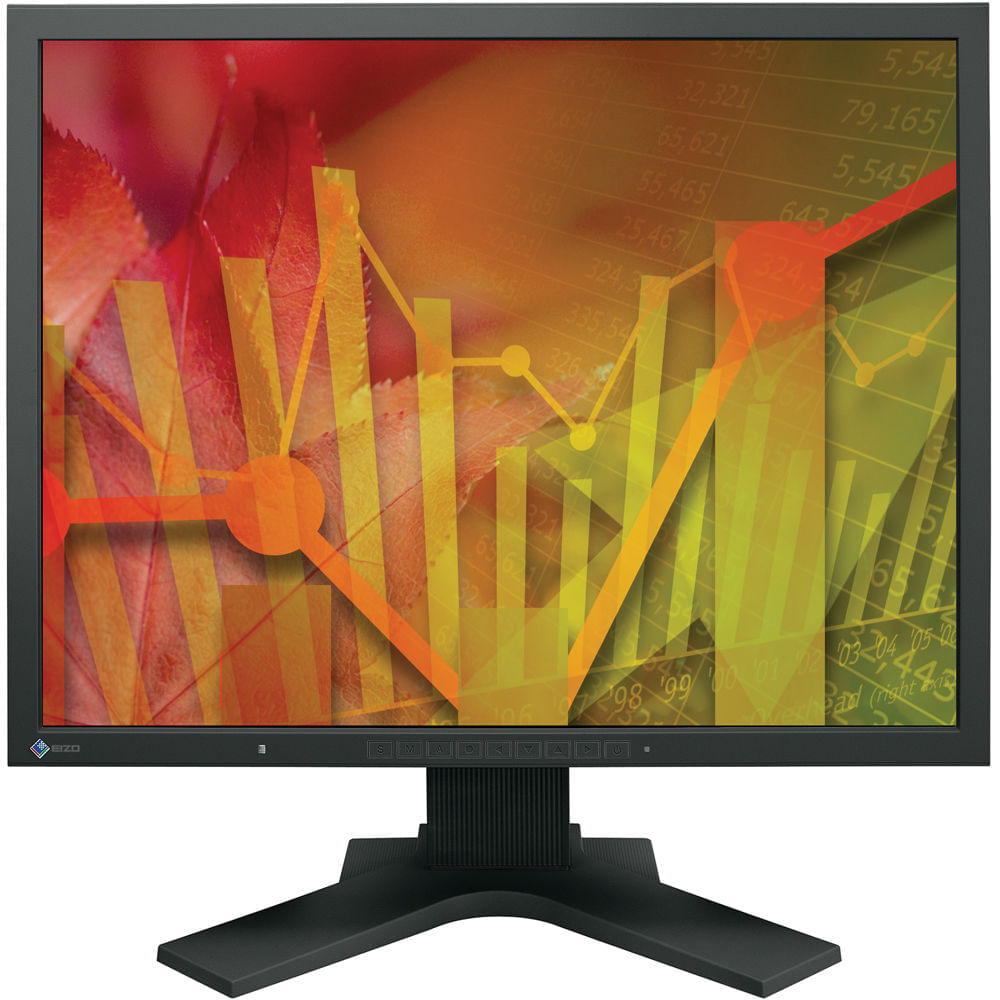 Eizo FlexScan S2133 21.3 ""4: 3 IPS Monitor