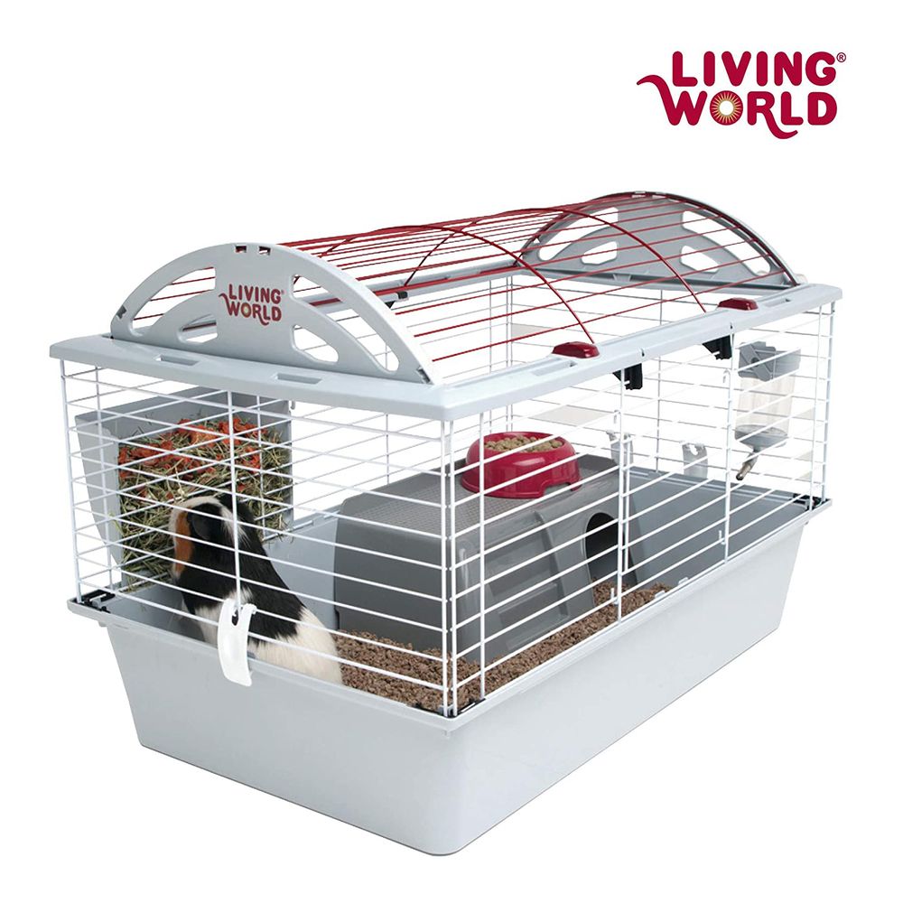 imageUrl_2 imageUrl_2